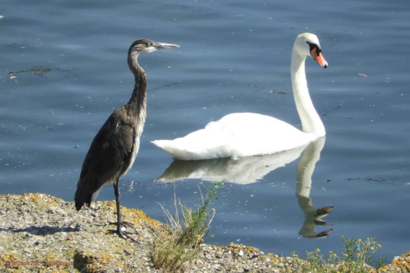 I am watching you, you dirty..