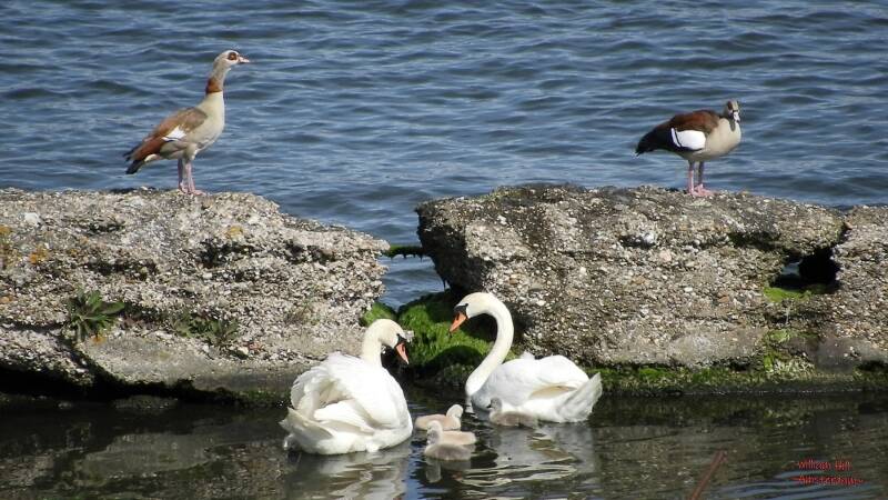 .."How, do I get there..?"