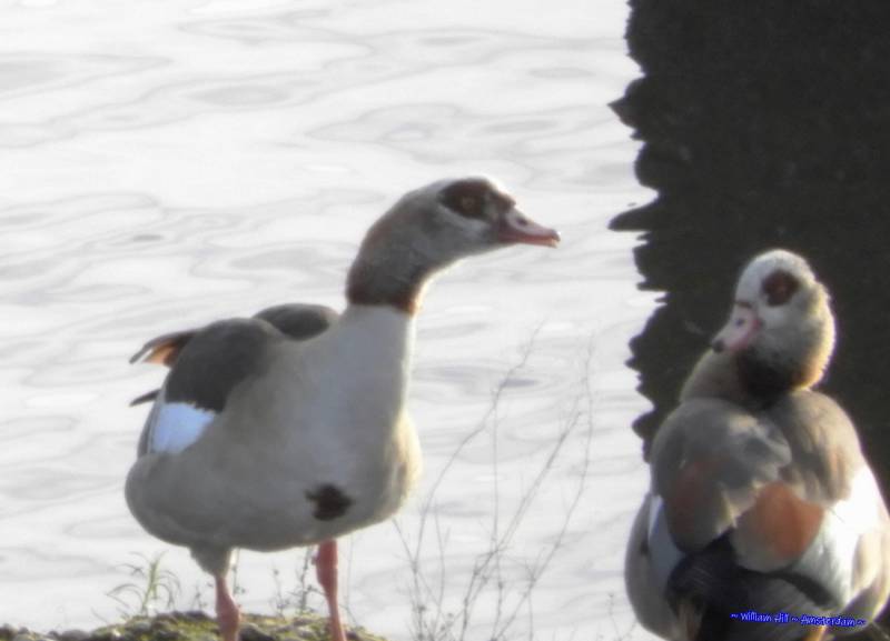 maybe a welcome home kiss?, hihihi you silly