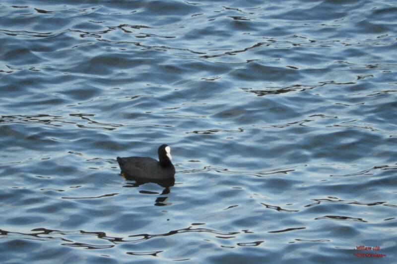 ..at this level they have ....him! (or her) 