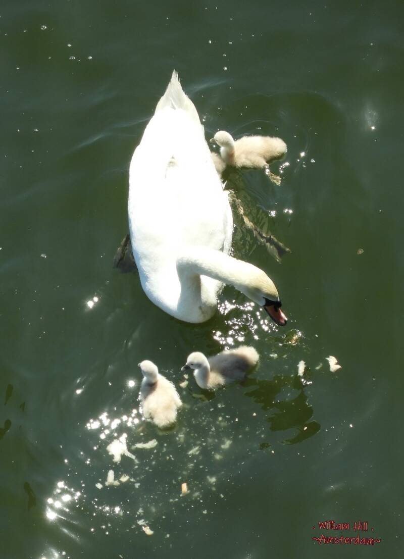the elder eating bread