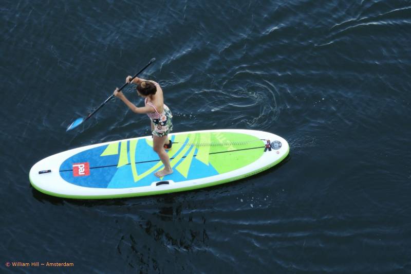 Board Paddler
