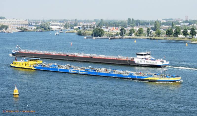 (31)  -  PIZ LANGUARD