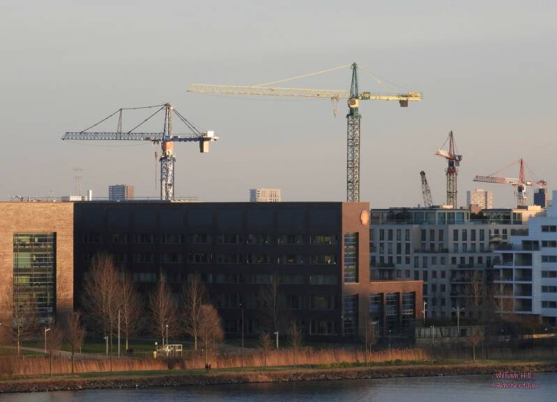 among his friends, destroying the future view