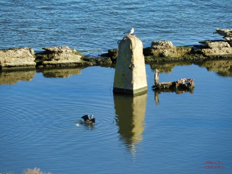 ..( scream )..  "Hey Asshole!"