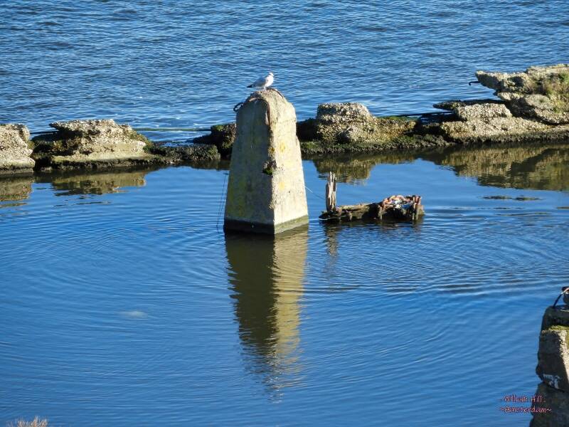 "Huh! ..wh-wha what ?..  ..who.. ..?"