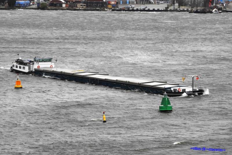 (09), 16:55  -  AVENA