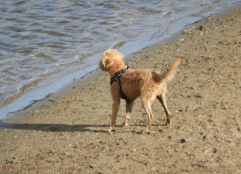 getting challenged by..