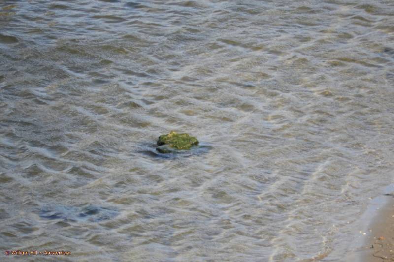 ..a rock, a green one..