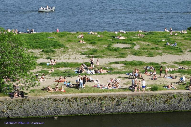 Baking some white meat