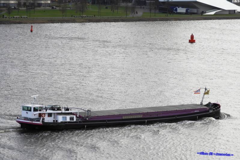 (12)  - C&#039;EST LA VIE