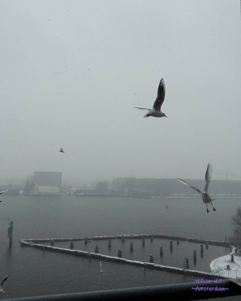 (22.01) - "Come out and Play!"