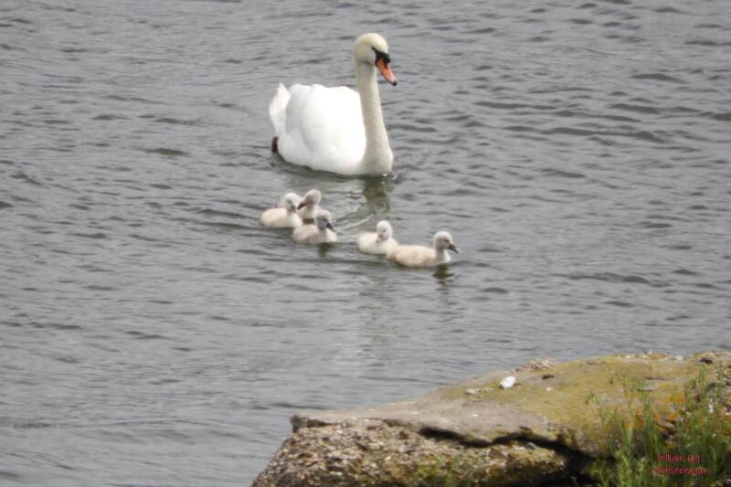 was it here right? yes right!, no Left