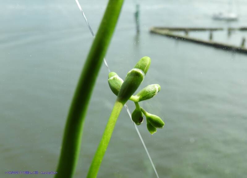 seeking everywhere, every milimeter