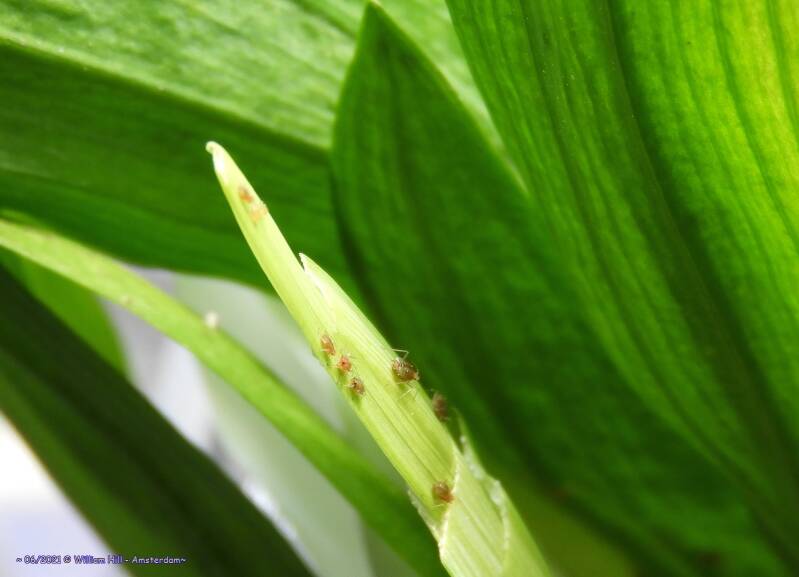 this feast is soon over