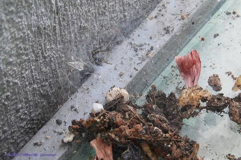 and gone, back in the hole