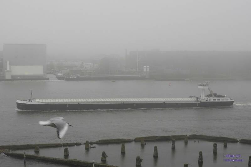 and the rest of the day...mist