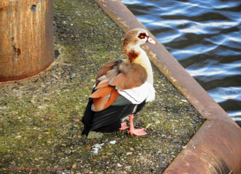 24, in the afternoon sun