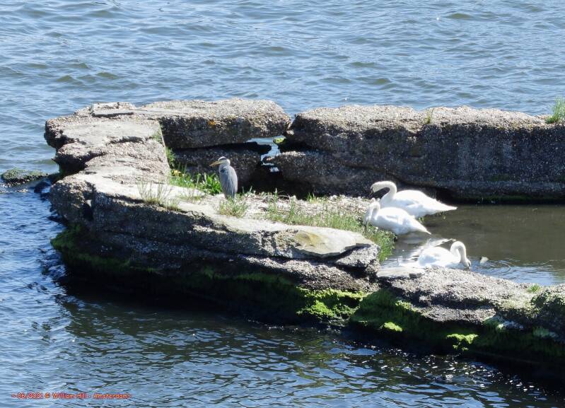 They have a &#039;Bed and Breakfast&#039; now?