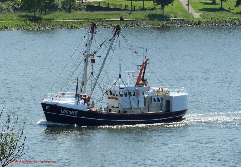 fishing UK 166 - LIMANDA