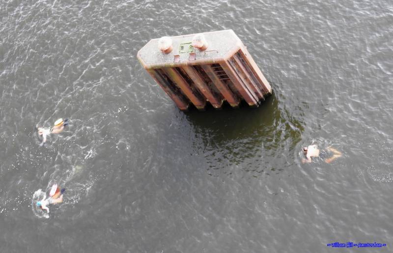 Ah yes, a little sunshine and they start swimming (it is still winter)