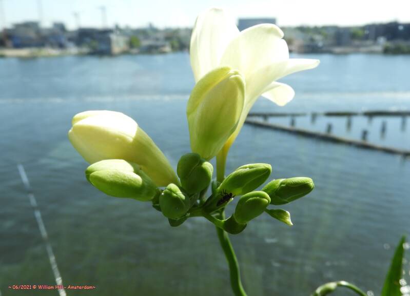 someone still looking around