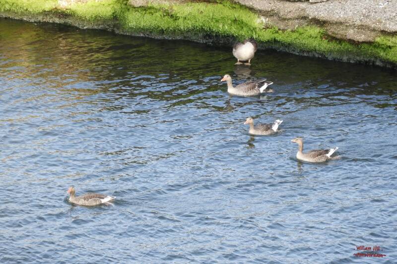 this maybe was their rendez vous spot but missed eachother by a day