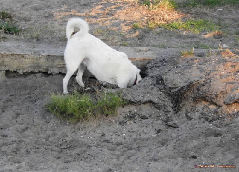 ..thought it was here..