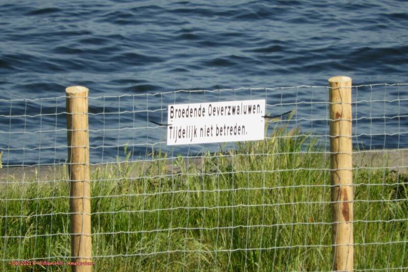 ah...it is because of:  &#039;breeding sand martin, temporarily no trespassing&#039;