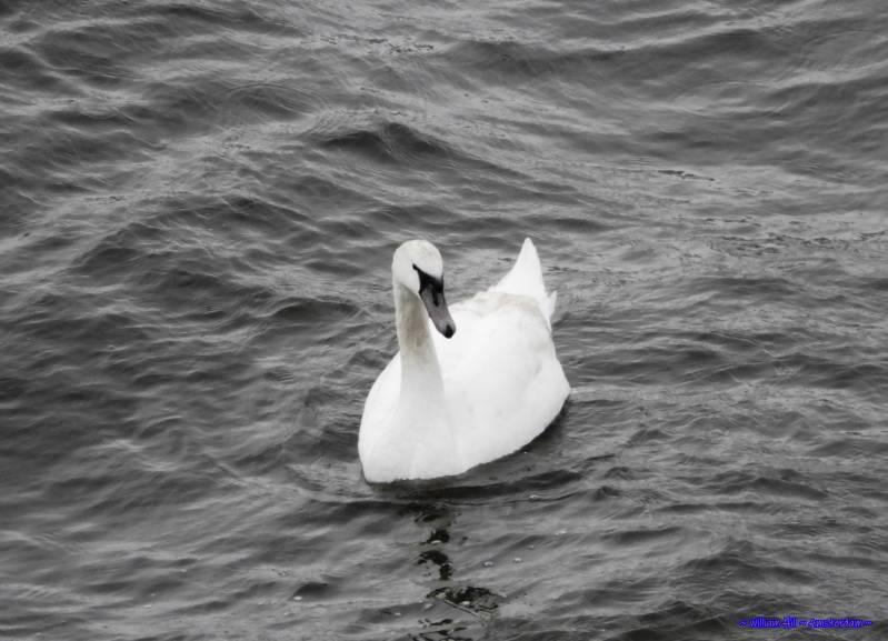 stop playing, paddle..!