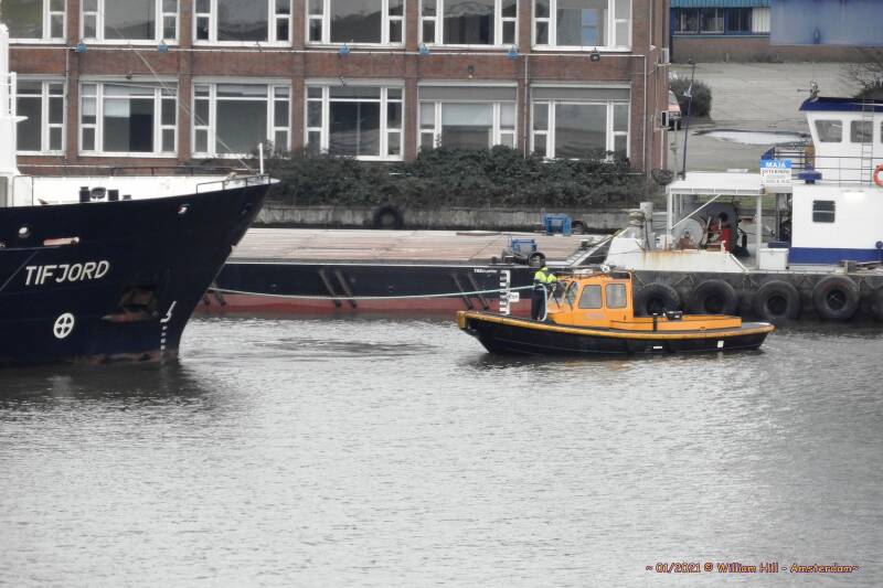 it&#039;s like walking the dog