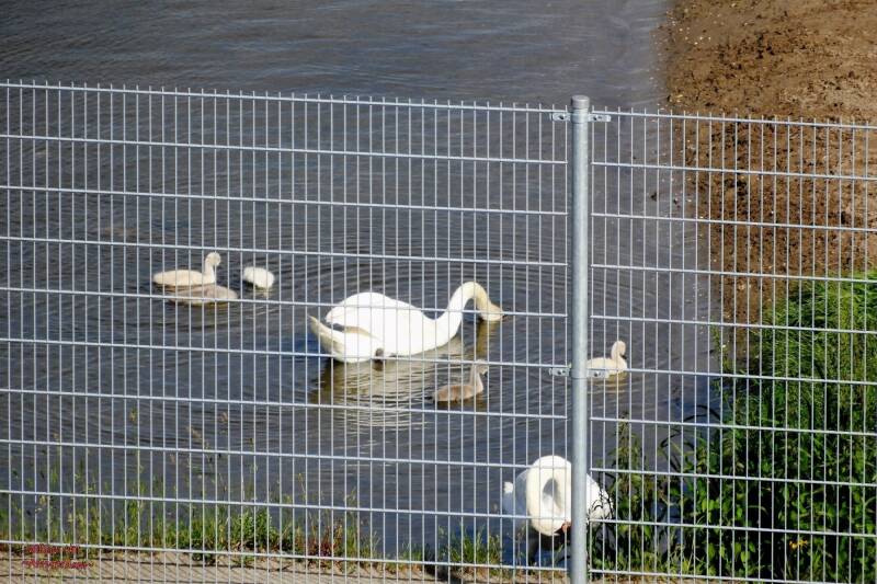 and suddenly they are there