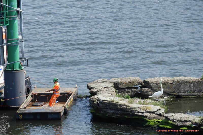 tying the raft to the pole