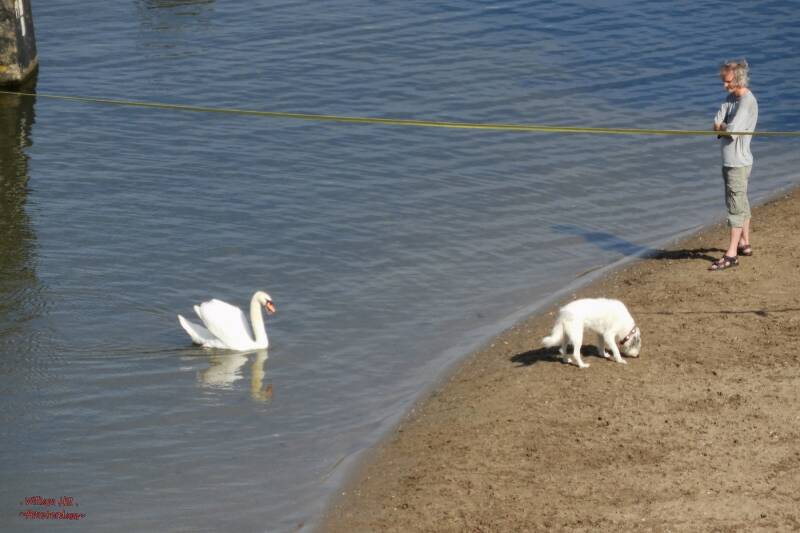 hehehe..and than... BOOH