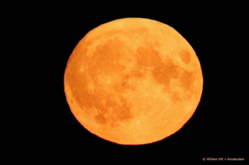 a little more closer