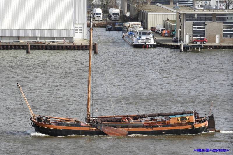 CATHARINA van MIJDRECHT