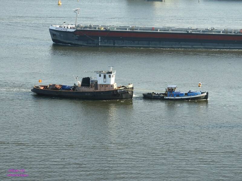 (16) - on tow