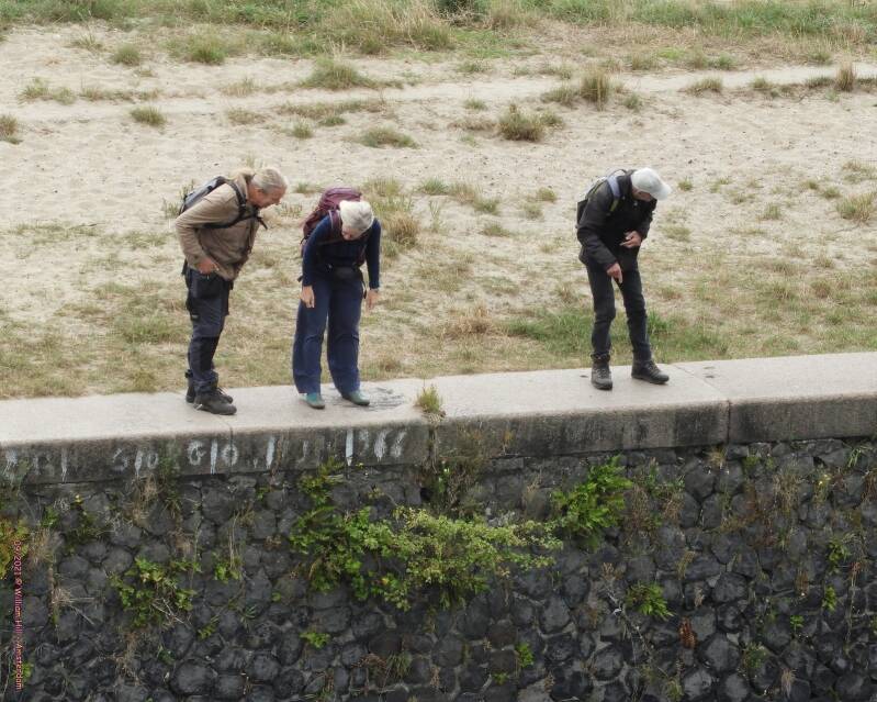 Some come from far, only come to see..