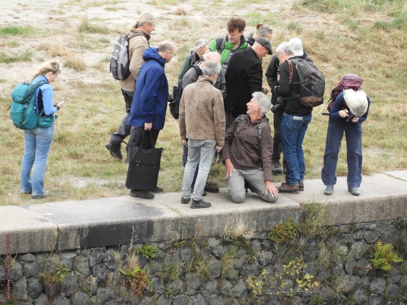 listen and taking pictures of some fern