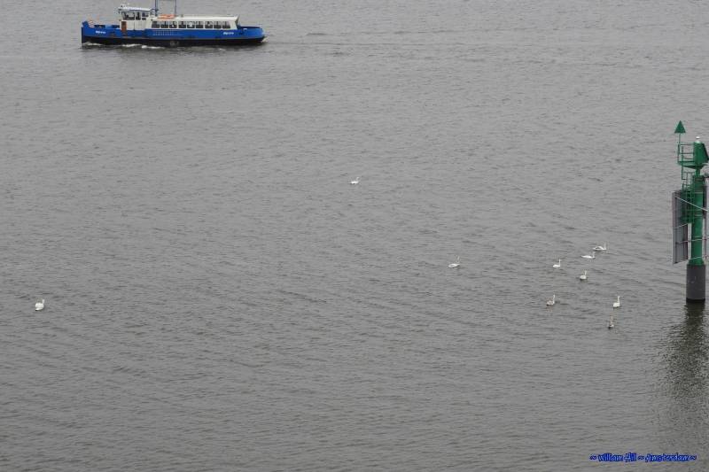 he has a lot to chase away