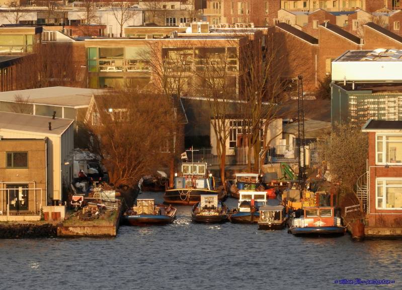 small harbor between the buildings