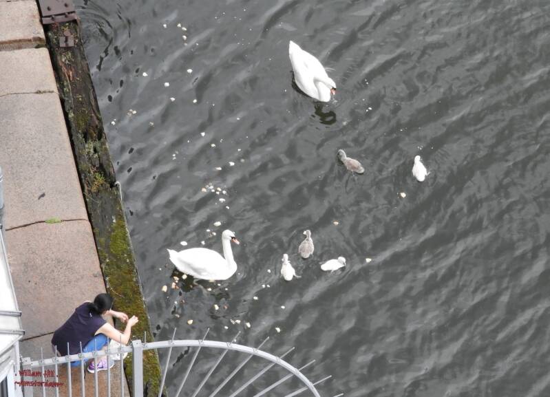 yeah you can give them old french stickbread