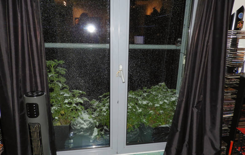 07/01:30, yes it is snowing