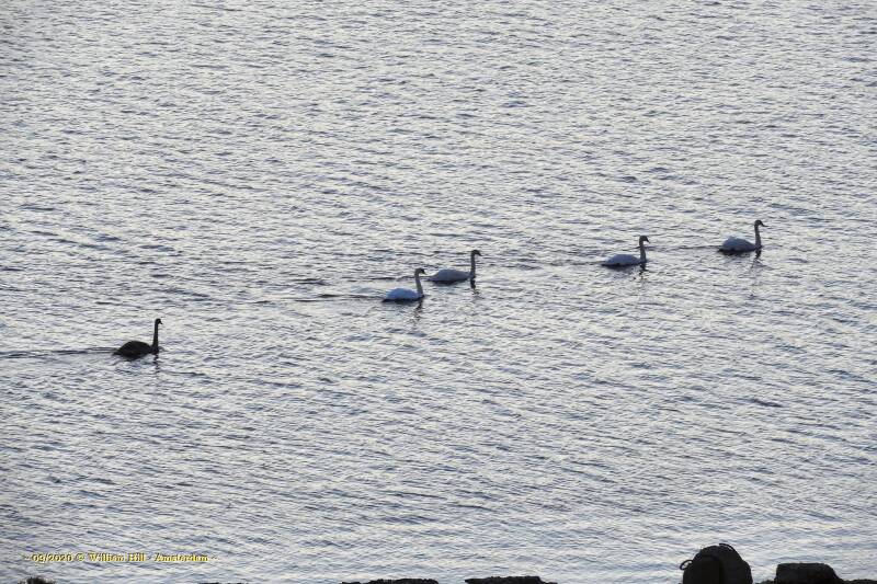 coming from the west, probably after the nightshift