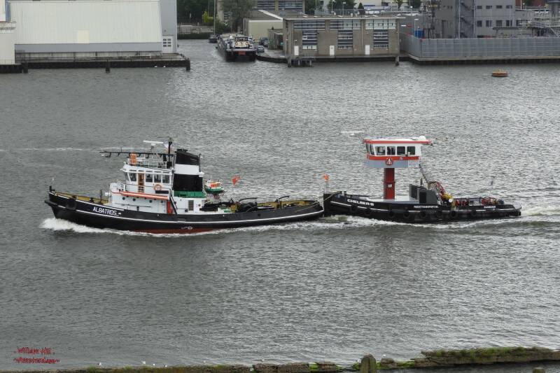 ALBATROS and on tow, CHELSEA-B