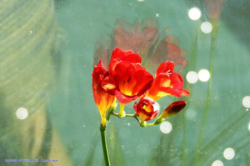 and the nice smell of it