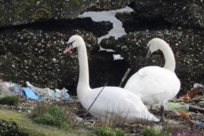 and always keep an eye and ear open for intruders