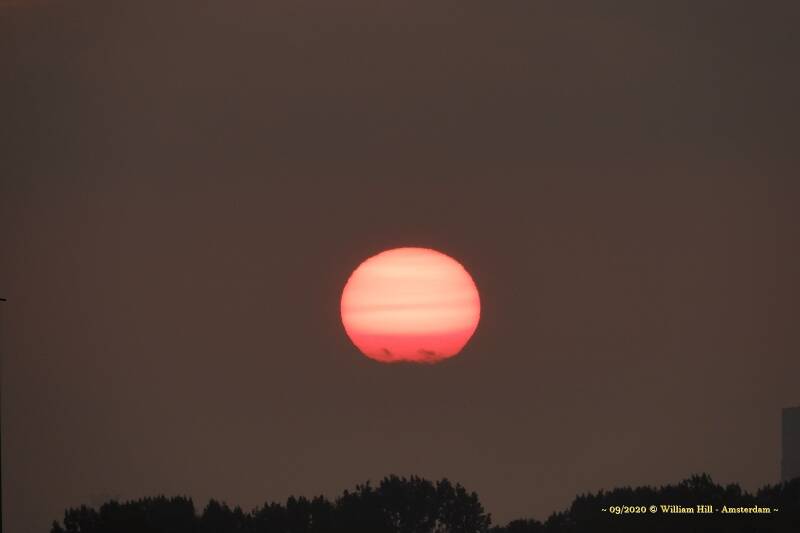 Look it is a clowns nose ☺ 