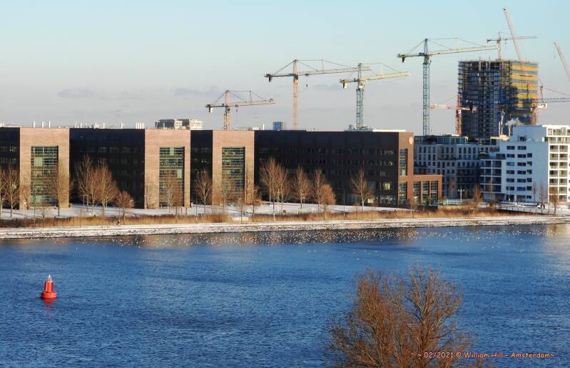 hundreds of gulls, resting here