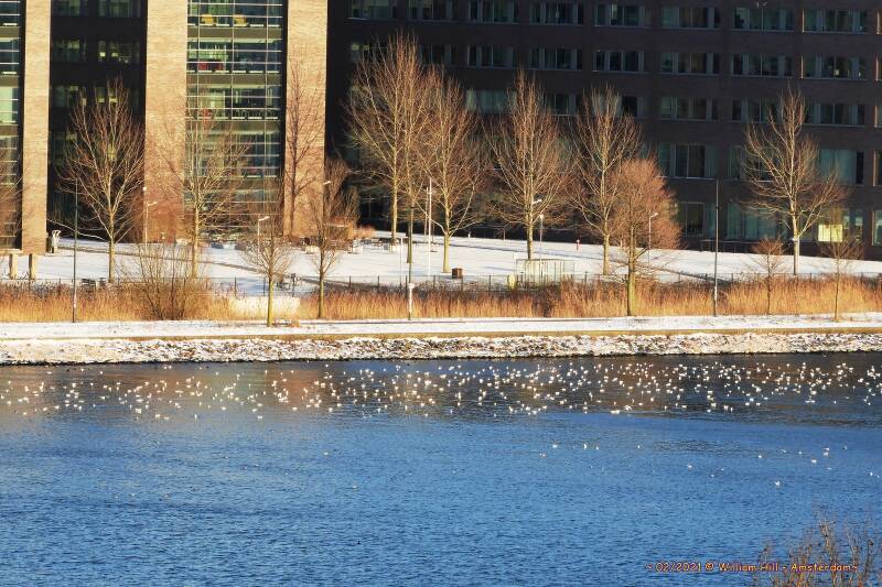 waiting for the one that gives the signal